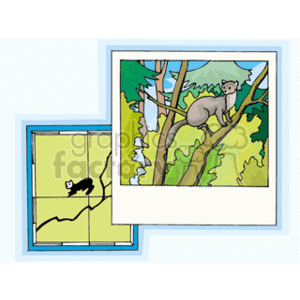 The clipart image shows a layered depiction of a map and an illustration of animals. On one layer, there is a simplified representation of a map section, showing what seem to be land divisions or boundaries with a stylized representation of a lemur-like animal in a corner. On the top layer, there's a colorful, detailed illustration of a koala in its natural habitat, perched on a tree branch amidst green foliage.