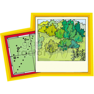 Greenery and Top-Down Schematic Map - Understanding Vegetation Mapping