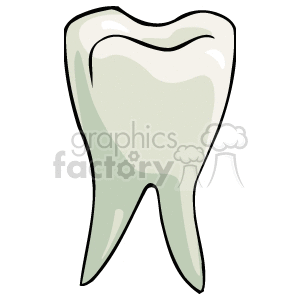 Clipart image of a single, healthy tooth.