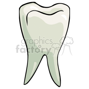 Healthy Tooth