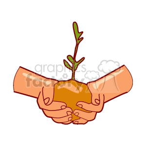 hands holding a tree sprout