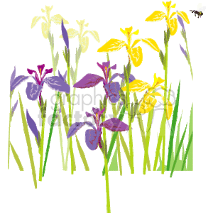 This clipart image features a collection of stylized flowers, which seem to be irises, with tall grass-like leaves. There are multiple colors of irises depicted, including purple and yellow.