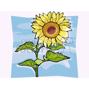 A vibrant clipart image of a single sunflower with a blue sky background, showcasing its bright yellow petals and green leaves.