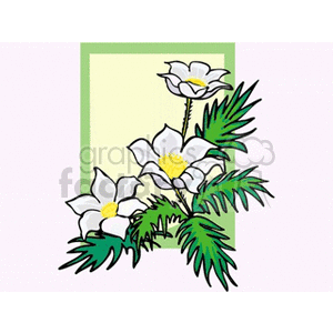 A colorful clipart image of daisies with white petals and yellow centers, surrounded by green leaves, set against a light green rectangle background.