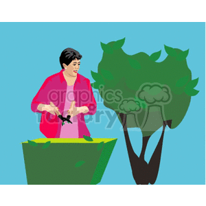 Clipart image of a woman in a pink outfit trimming bushes in a garden.