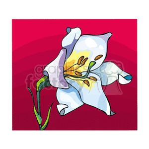 Illustration of a white flower with a yellow center and green stem on a red background.