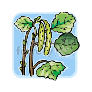 Illustration of an aspen tree with green leaves and seed pods.