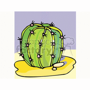 cactus181312