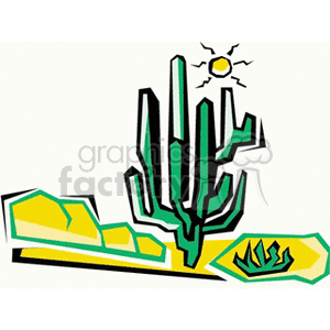 cactus71212