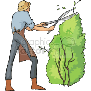 The clipart image depicts a person engaged in landscaping work, specifically trimming or shaping a bush with a pair of large garden shears. The individual is wearing a hat, which suggests outdoor work, and the focus is on the maintenance of greenery or garden care.

