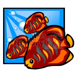 The image is a piece of clipart depicting three stylized orange and yellow tropical fish with prominent fins and markings, swimming in a blue aquatic environment with bubbles or light spots suggesting underwater scenery.