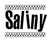 The image contains the text Saliny in a bold, stylized font, with a checkered flag pattern bordering the top and bottom of the text.