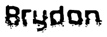 The image contains the word Brydon in a stylized font with a static looking effect at the bottom of the words