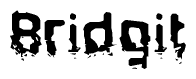 The image contains the word Bridgit in a stylized font with a static looking effect at the bottom of the words