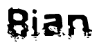 The image contains the word Bian in a stylized font with a static looking effect at the bottom of the words
