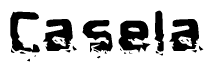This nametag says Casela, and has a static looking effect at the bottom of the words. The words are in a stylized font.
