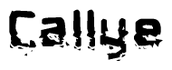 The image contains the word Callye in a stylized font with a static looking effect at the bottom of the words