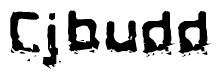 The image contains the word Cjbudd in a stylized font with a static looking effect at the bottom of the words