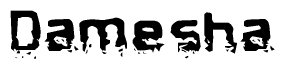 The image contains the word Damesha in a stylized font with a static looking effect at the bottom of the words