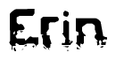 The image contains the word Erin in a stylized font with a static looking effect at the bottom of the words