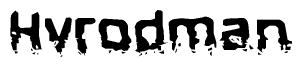 This nametag says Hvrodman, and has a static looking effect at the bottom of the words. The words are in a stylized font.
