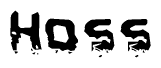 The image contains the word Hoss in a stylized font with a static looking effect at the bottom of the words