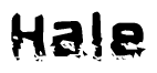 This nametag says Hale, and has a static looking effect at the bottom of the words. The words are in a stylized font.