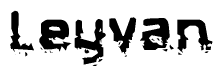 The image contains the word Leyvan in a stylized font with a static looking effect at the bottom of the words