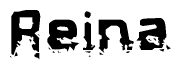 The image contains the word Reina in a stylized font with a static looking effect at the bottom of the words