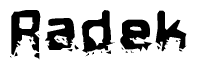 The image contains the word Radek in a stylized font with a static looking effect at the bottom of the words