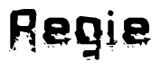The image contains the word Regie in a stylized font with a static looking effect at the bottom of the words