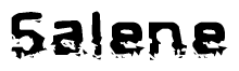The image contains the word Salene in a stylized font with a static looking effect at the bottom of the words