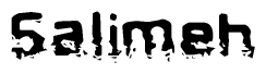 The image contains the word Salimeh in a stylized font with a static looking effect at the bottom of the words
