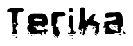 The image contains the word Terika in a stylized font with a static looking effect at the bottom of the words