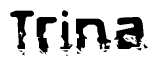 The image contains the word Trina in a stylized font with a static looking effect at the bottom of the words