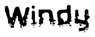 The image contains the word Windy in a stylized font with a static looking effect at the bottom of the words