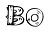 The image contains the name Bo written in a decorative, stylized font with a hand-drawn appearance. The lines are made up of what appears to be planks of wood, which are nailed together