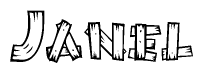 The image contains the name Janel written in a decorative, stylized font with a hand-drawn appearance. The lines are made up of what appears to be planks of wood, which are nailed together