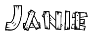 The image contains the name Janie written in a decorative, stylized font with a hand-drawn appearance. The lines are made up of what appears to be planks of wood, which are nailed together