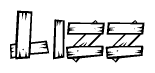 The image contains the name Lizz written in a decorative, stylized font with a hand-drawn appearance. The lines are made up of what appears to be planks of wood, which are nailed together
