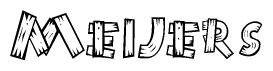 The image contains the name Meijers written in a decorative, stylized font with a hand-drawn appearance. The lines are made up of what appears to be planks of wood, which are nailed together