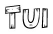The clipart image shows the name Tui stylized to look as if it has been constructed out of wooden planks or logs. Each letter is designed to resemble pieces of wood.