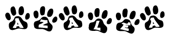 The image shows a row of animal paw prints, each containing a letter. The letters spell out the word Azalea within the paw prints.