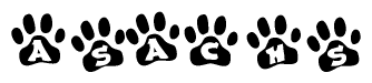 The image shows a series of animal paw prints arranged in a horizontal line. Each paw print contains a letter, and together they spell out the word Asachs.