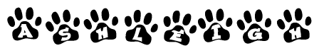 The image shows a row of animal paw prints, each containing a letter. The letters spell out the word Ashleigh within the paw prints.