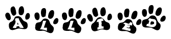 The image shows a series of animal paw prints arranged in a horizontal line. Each paw print contains a letter, and together they spell out the word Allied.