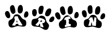 Animal Paw Prints with Arin Lettering