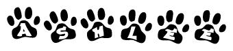 The image shows a series of animal paw prints arranged in a horizontal line. Each paw print contains a letter, and together they spell out the word Ashlee.