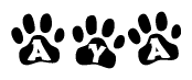The image shows a row of animal paw prints, each containing a letter. The letters spell out the word Aya within the paw prints.