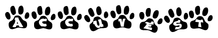 The image shows a row of animal paw prints, each containing a letter. The letters spell out the word Accuvest within the paw prints.